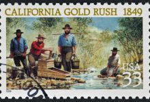 تب طلا در کالیفرنیا
